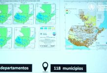 MAGA emite recomendaciones sobre cuidado de hortalizas, pastos y café ante descenso de temperatura En el Occidente y Altiplano del país, se prevé un mayor descenso de temperatura que podrían afectar cultivos. Foto La Hora: captura de pantalla