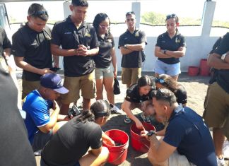 Los tripulantes del buque ARC "Gloria" participaron en la liberación de las tortugas. Foto La Hora. Ejército de Guatemala