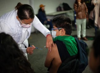 La Secretaría de Salud de México confirmó el primer caso de influenza A H3N2 subclado K en el país.