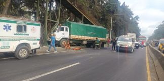 En una de las bases de la pasarela terminó chocando un camión que trasladaba verduras. Foto La Hora: Asonbomd