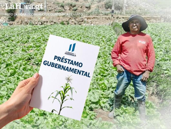 prestamo tobanik Con los créditos Tob'anik, el Gobierno busca ayudar a pequeños y medianos agricultores a financiar sus cultivos.