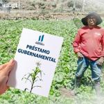 Con los créditos Tob'anik, el Gobierno busca ayudar a pequeños y medianos agricultores a financiar sus cultivos.