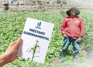 Con los créditos Tob'anik, el Gobierno busca ayudar a pequeños y medianos agricultores a financiar sus cultivos.