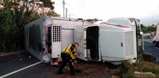 Un camión volcó en el kilómetro 33 de la ruta a Oriente, en jurisdicción de Villa Canales. Foto: Bomberos Voluntarios
