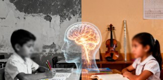 Desigualdad Cognitiva