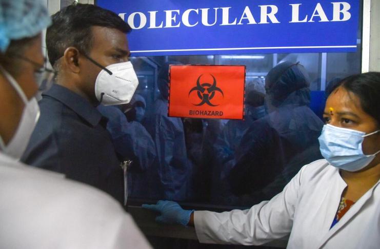 La OMS considera "bajo" el riesgo de expansión del letal virus Nipah tras la alerta en la India