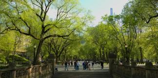 Anuncian construcción de un parque metropolitano por los 250 años del traslado de la capital