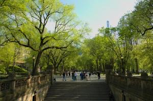 Anuncian construcción de un parque metropolitano por los 250 años del traslado de la capital