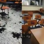 El estado en que quedó uno de los salones. Foto La Hora: Captura.