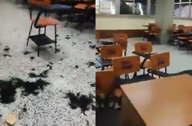 El estado en que quedó uno de los salones. Foto La Hora: Captura.