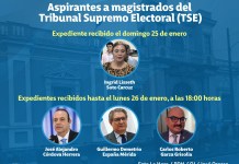 Aspirantes a Magistrados del Tribunal Supremo Electoral (TSE) al lunes 26 de enero. Foto La Hora: Alejandro Ramírez