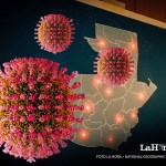 Los casos positivos de sarampión están relacionados con la celebración masiva registrada en Santiago Atitlán, Sololá, y han sido identificados en al menos 8 departamentos.