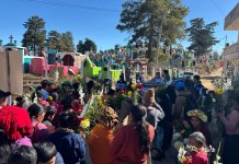 Familias comitancillo