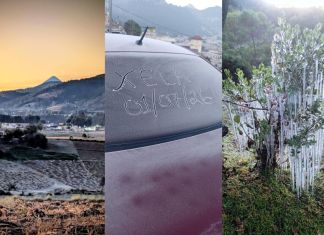 Heladas registradas en el Occidente del país. Foto La Hora: Clima Guatemala/ Ovejas y llamas en la sierra