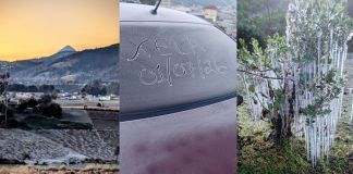 En imágenes: Así amaneció el occidente del país por las heladas de la madrugada Heladas registradas en el Occidente del país. Foto La Hora: Clima Guatemala/ Ovejas y llamas en la sierra