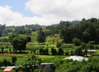 Guatemala recibe primer pago millonario por la venta de bonos de carbono al Banco Mundial
