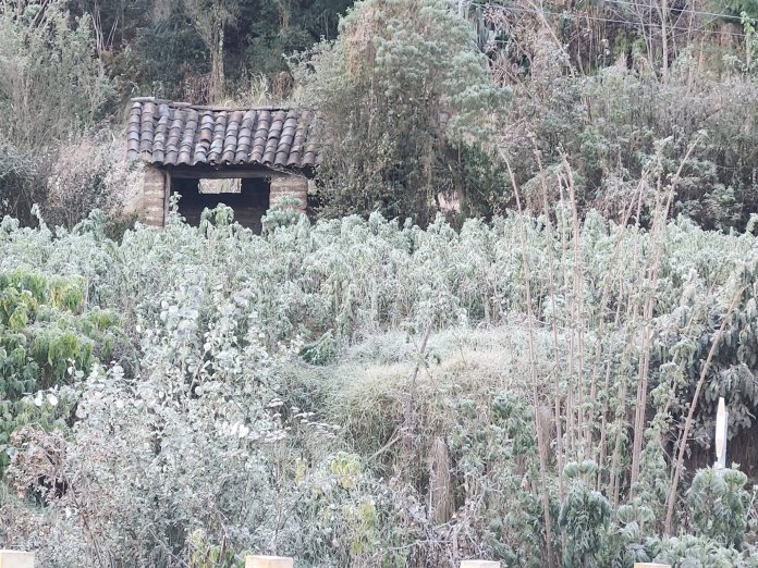 Heladas en la madrugada en Quetzaltenango. Foto La Hora: Clima Guatemala 