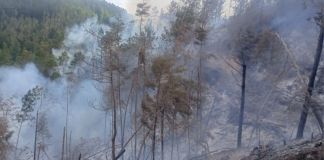 El 99 % de los incendios forestales son causados por la acción humana, afirma Conap Incendio forestal registrado en la ruta a Mataquescuintla. Foto La Hora: Conred