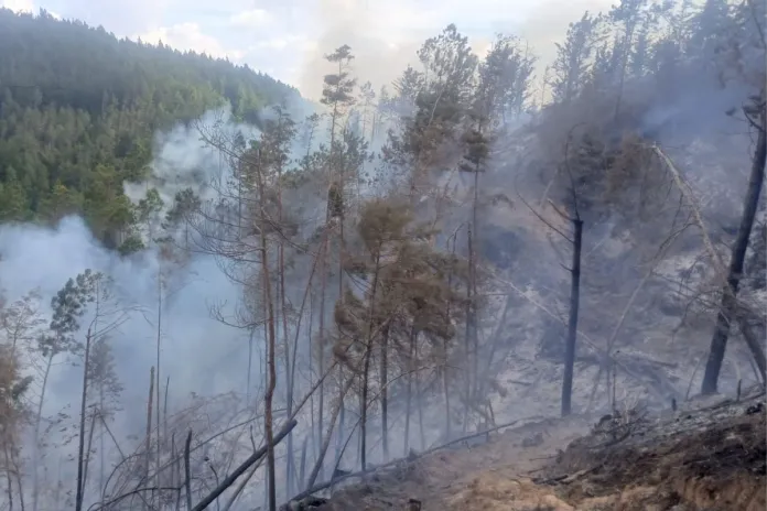 Incendio forestal registrado camino a Mataquescuintla Incendio forestal registrado en la ruta a Mataquescuintla. Foto La Hora: Conred