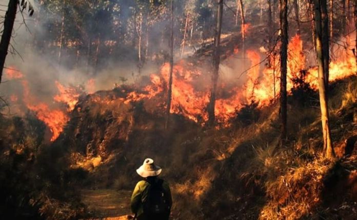 Además de los daños en la flora y fauna local, los incendios forestales de esta temporada han dejado una persona fallecida.