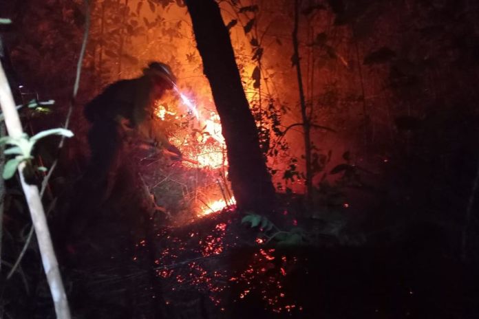 Incendios registrados en El Carrizal, San Pedro Ayampuc. Foto La Hora: Conerd