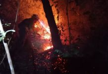 Incendios registrados en El Carrizal, San Pedro Ayampuc. Foto La Hora: Conerd