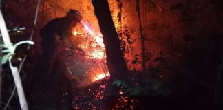 Incendios registrados en El Carrizal, San Pedro Ayampuc. Foto La Hora: Conerd