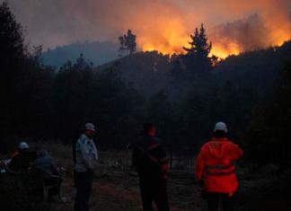 Incendio: Región de Ñuble y Biobío sufre graves daños por incendios forestales. Foto: La Hora/ EFE/ Adriana Thomasa