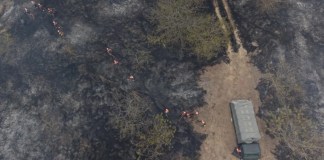 En los primeros 30 días de 2026 se ha superado la cifra de 100 incendios liquidados a nivel nacional.