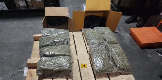 Antinarcóticos incautan paquetes de presunta marihuana en una bodega de zona 12. Foto La Hora: PNC.