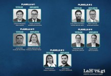 Cinco planillas de abogados participan en la elección para representantes ante la Postuladora del Tribunal Supremo Electoral (TSE). Diseño La Hora: Roberto Altán