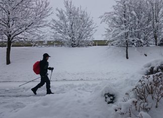 La tormenta invernal Fern amenaza EE.UU. con fuertes nevadas, acumulación de hielo y temperaturas extremadamente bajas.