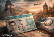Visas de migrante
