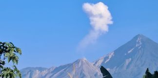 Volcán Santiaguito lanzando columnas de gas y cenizas. Foto La Hora: Conred