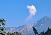 Reportan que el volcán Santiaguito se encuentra lanzando cenizas al Oeste Volcán Santiaguito lanzando columnas de gas y cenizas. Foto La Hora: Conred