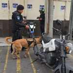 Elementos antiexplosivos de la Policía Nacional Civil se presentaron a la Torre de Tribunales ante una amenaza de bomba. Foto La Hora: Sergio Osegueda