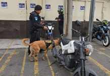 Elementos antiexplosivos de la Policía Nacional Civil se presentaron a la Torre de Tribunales ante una amenaza de bomba. Foto La Hora: Sergio Osegueda