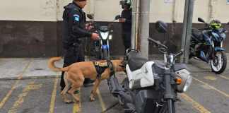 Elementos antiexplosivos de la Policía Nacional Civil se presentaron a la Torre de Tribunales ante una amenaza de bomba. Foto La Hora: Sergio Osegueda