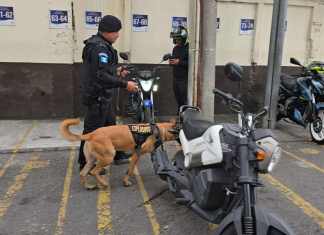 Elementos antiexplosivos de la Policía Nacional Civil se presentaron a la Torre de Tribunales ante una amenaza de bomba. Foto La Hora: Sergio Osegueda