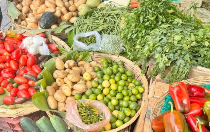 El INE reportó un nuevo aumento en la Canasta Básica Alimentaria durante junio.