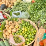El INE reportó un nuevo aumento en la Canasta Básica Alimentaria durante junio.