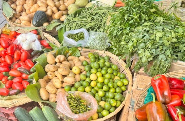 Canasta básica en Guatemala: pese a registrar alzas moderadas, precios siguen al alza, según el INE El INE reportó un nuevo aumento en la Canasta Básica Alimentaria durante junio.