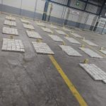 Más de Q190 millones de cocaína son incautados tras inspección de contenedores en Puerto Quetzal.