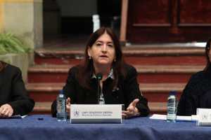 Cultura afirma que proyecto arqueológico en la USAC no influye en elección de rector