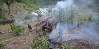 Este lunes se realizó la erradicación de plantaciones de hoja de coca en Petén.