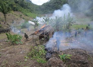 Este lunes se realizó la erradicación de plantaciones de hoja de coca en Petén.