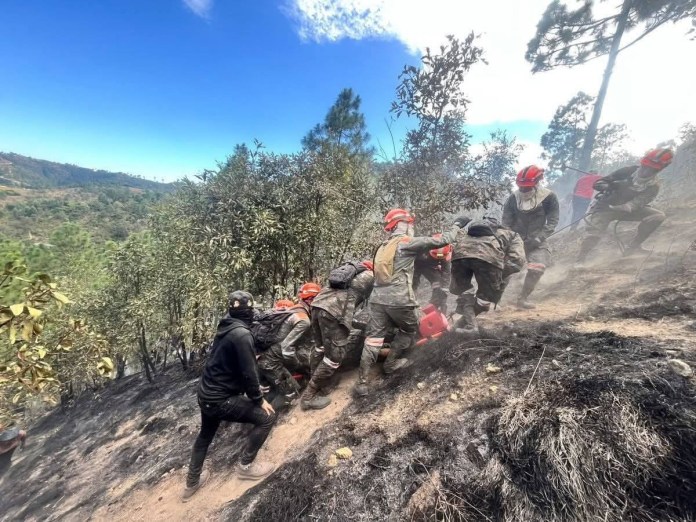 indencio forestal san sebastian inendio forestal