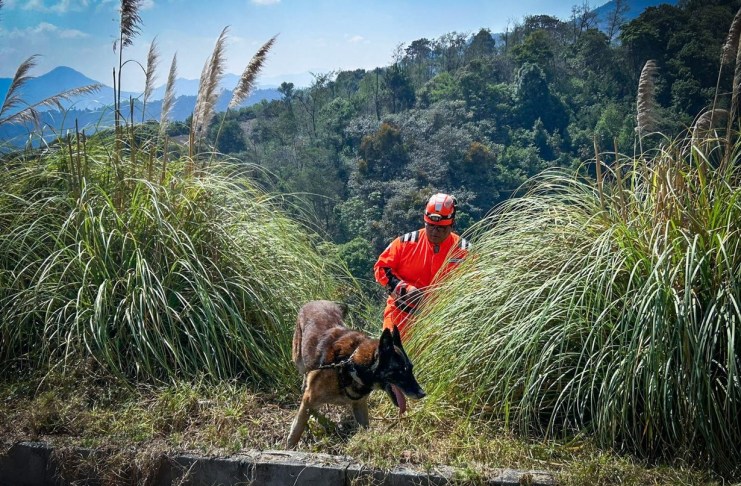 Roger, un perro de trabajo que durante más de una década formó parte de la Sección Canina de Bomberos Voluntarios.