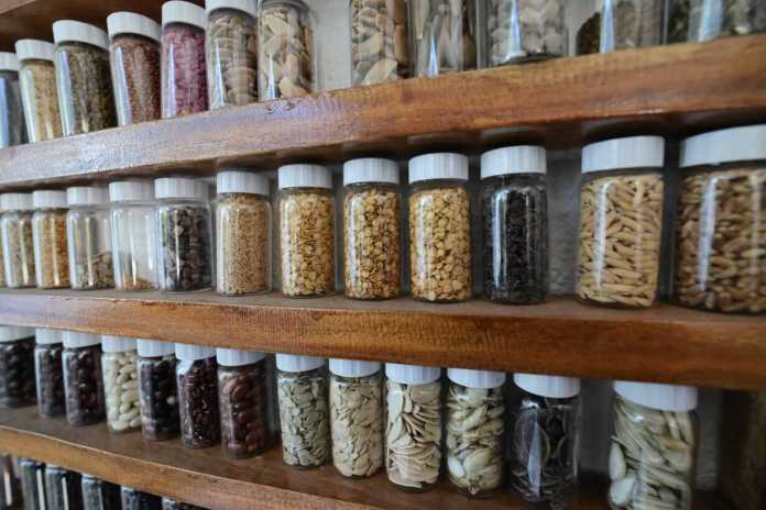 semillas Semillas guatemaltecas serán conservadas en la Bóveda Global de Svalbard.