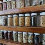 Semillas guatemaltecas serán conservadas en la Bóveda Global de Svalbard.